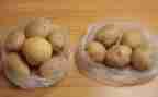 炒土豆丝作文7篇