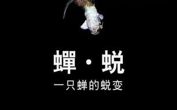 我在成长中蜕变作文5篇