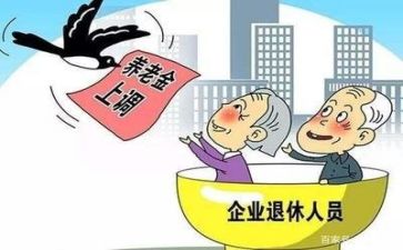 退休前的工作计划5篇