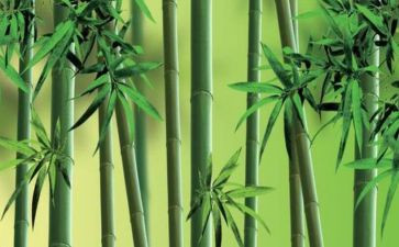 托物言托物言志作文精选8篇