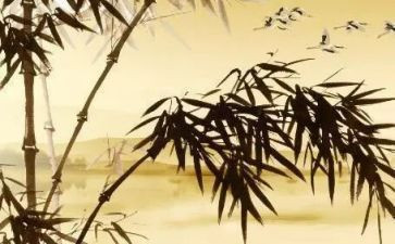 托物言志的初中作文7篇