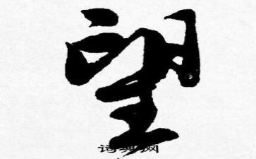 光与希望作文最新5篇
