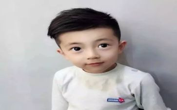 虎王子的读后感7篇