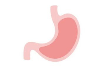 胃幼儿园教案模板6篇