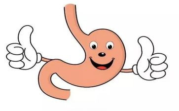幼儿园关于胃的教案优秀6篇