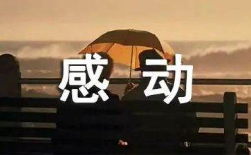 我的感动作文8篇