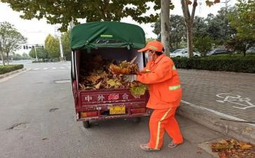 环卫工作总结优质6篇