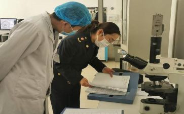 卫生室的工作计划优秀8篇
