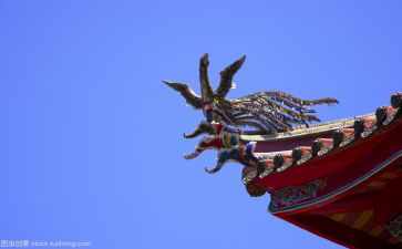 读文化的心得体会优质5篇