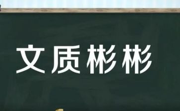 文与质关系作文推荐5篇