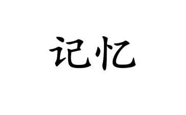 我记忆中的作文优秀5篇