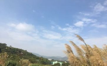 我的一我的一天作文600字7篇