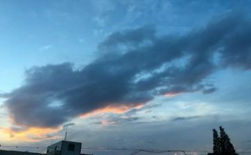 我的一我的一天作文参考7篇