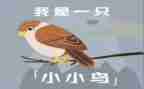 数小鸟的教案8篇