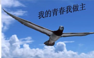 我的我做主作文700字5篇