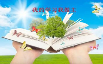我的我做主作文400字7篇