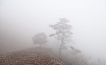 血色雾都读后感5篇