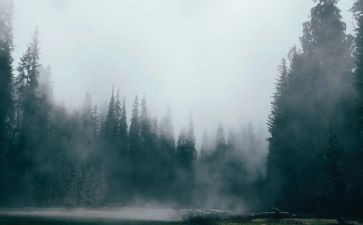 雾都的秋读后感最新6篇