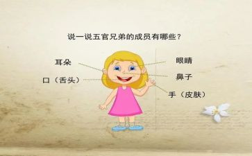 《我的五官》作文5篇