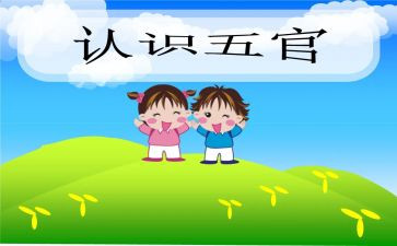 小班五官的教案优质8篇
