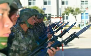 2024武警士官述职报告5篇