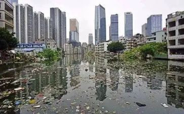 污染大调查报告最新8篇