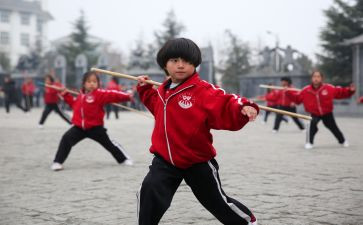 学武术的作文7篇