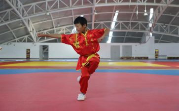 武术工作计划7篇