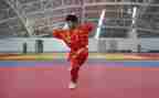 武术工作计划7篇