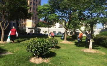 物业小区工作总结参考8篇