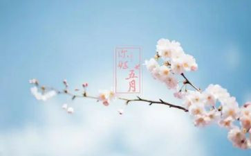 五月护士节演讲稿6篇