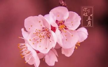 五月的个人总结8篇