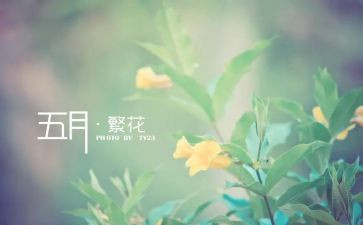 学生会五月份的工作总结7篇