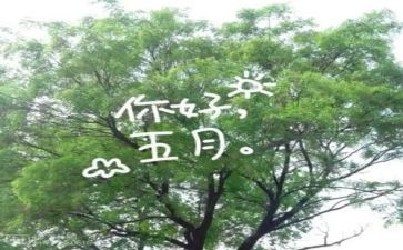 五月份月工作总结8篇