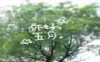 五月份月工作总结8篇