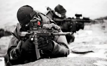 2024武装押运年终工作总结6篇