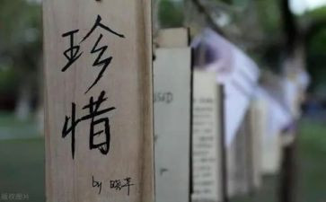 请珍惜纸的演讲稿参考7篇