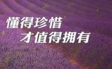 珍惜初三作文800字8篇