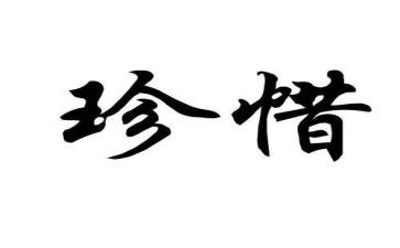 珍惜生命作文500字6篇