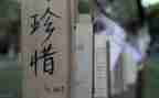 珍惜春天国旗下讲话稿5篇