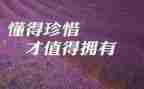 珍惜初三作文800字8篇