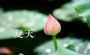 子夏的事迹模板8篇