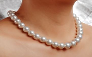 冰项链读后感600字5篇