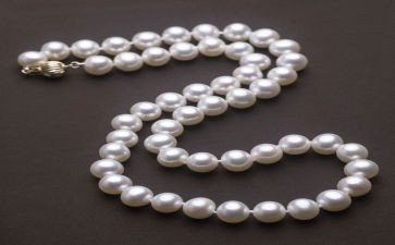 冰项链读后感500字5篇