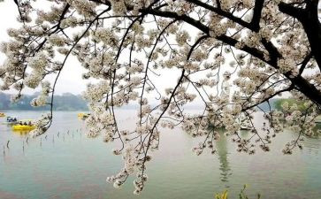 想起您作文600字8篇