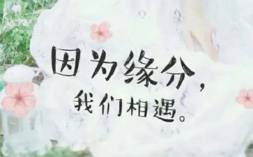 我......相遇作文6篇