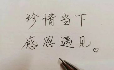 《相遇问题》教学反思6篇