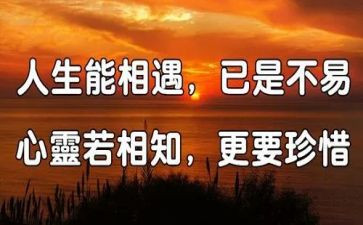 我......相遇作文优质5篇