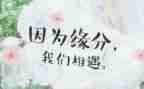 我......相遇作文6篇