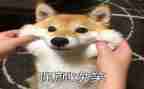 主题是微笑的演讲稿8篇